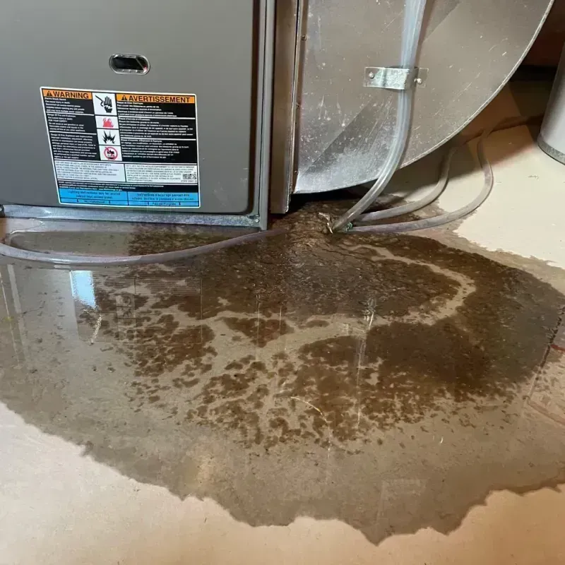 Appliance Leak Cleanup in Stamps, AR